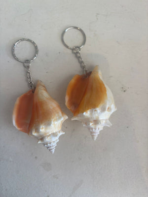Arena Shell Keychain